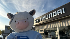 Hyundai TUCSON 1.6 TGDi Ultimate 5dr 2WD Petrol Estate